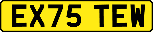 EX75TEW