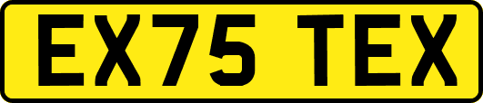 EX75TEX