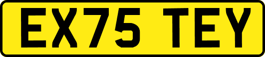 EX75TEY