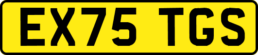 EX75TGS