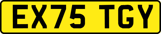 EX75TGY