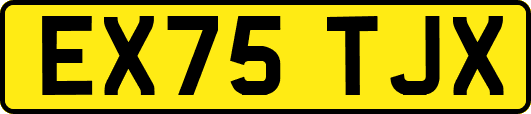 EX75TJX