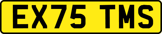 EX75TMS
