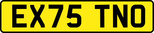 EX75TNO