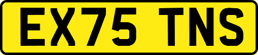 EX75TNS
