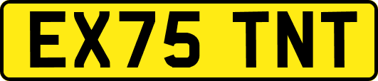 EX75TNT