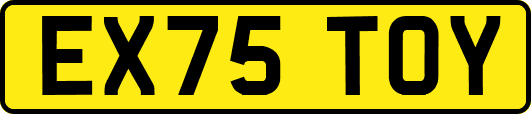 EX75TOY