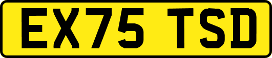 EX75TSD
