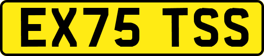 EX75TSS