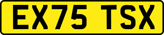 EX75TSX