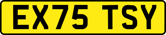 EX75TSY