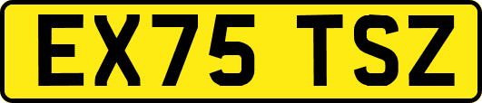 EX75TSZ
