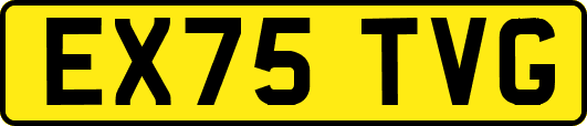 EX75TVG