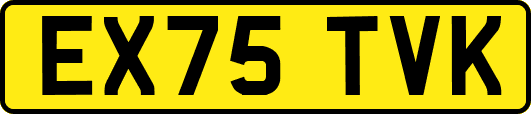 EX75TVK