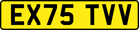 EX75TVV