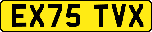 EX75TVX