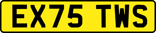 EX75TWS