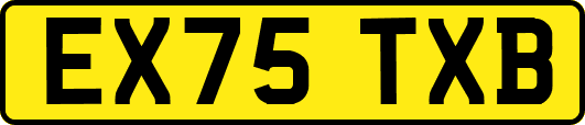 EX75TXB