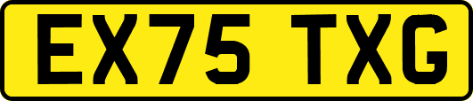 EX75TXG