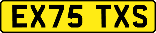 EX75TXS