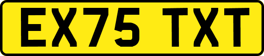 EX75TXT