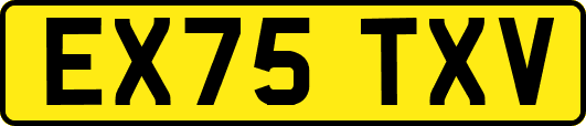 EX75TXV