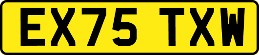 EX75TXW