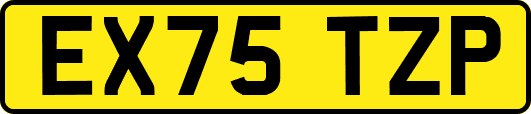 EX75TZP