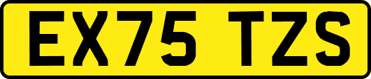 EX75TZS