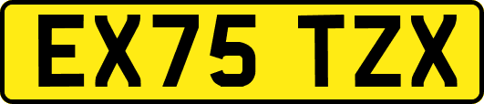 EX75TZX