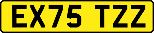 EX75TZZ