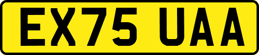 EX75UAA
