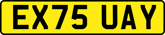 EX75UAY