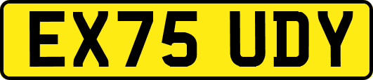 EX75UDY