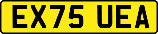 EX75UEA