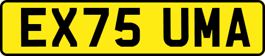 EX75UMA