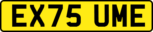 EX75UME