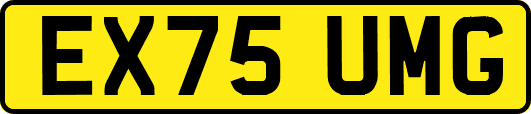 EX75UMG