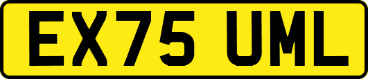 EX75UML