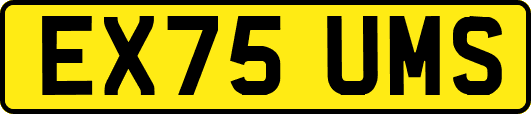 EX75UMS