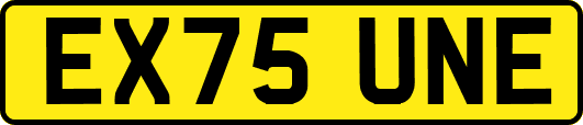 EX75UNE