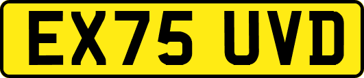 EX75UVD