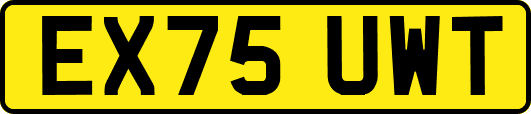 EX75UWT