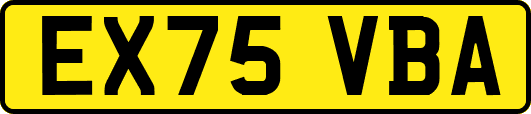 EX75VBA