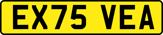 EX75VEA