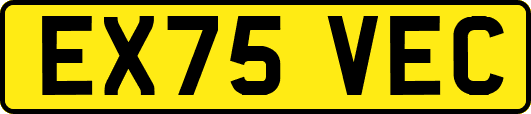 EX75VEC