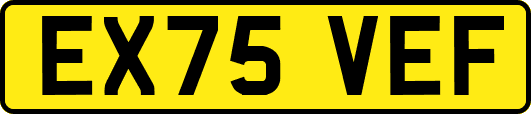 EX75VEF
