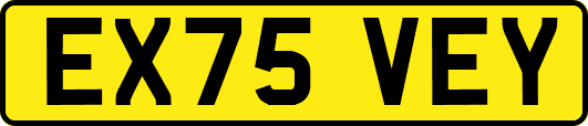 EX75VEY