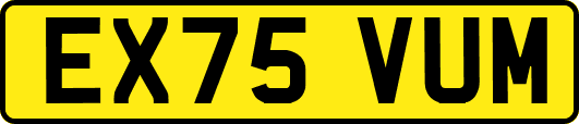 EX75VUM