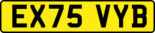 EX75VYB